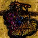 Tuscan Grapes