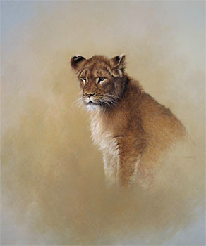 Young Lion Study