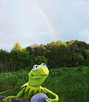 Kermit under the Pouakais