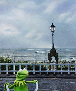 "Kermit in Dawson Street" New Plymouth