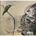Great Horned Owl & Ruby Throated Humming Bird