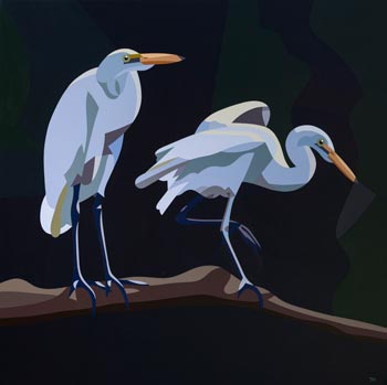 Relative Size: Kotuku - Ardea alba