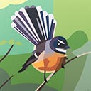 Beloved Fantail