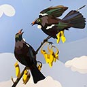 Tui Friends