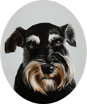 Schnauzer