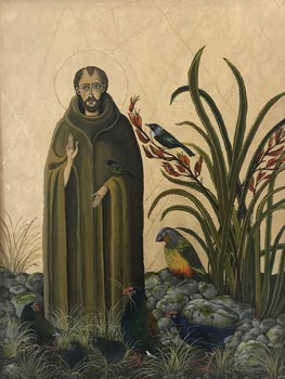 St Francis - Aotearoa