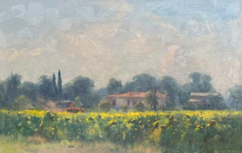 The Red Tractor, Lucignano