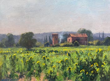 Tuscan Sunflower Fields