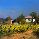 Casa di famiglia, Lucignano