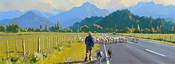 Droving Sheep, Coromandel