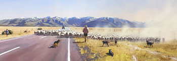 Sheep Drove, Omaramara