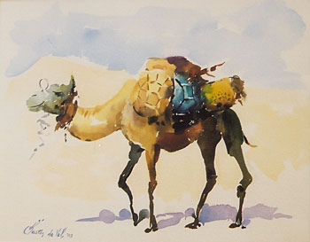 Camel - Sahara