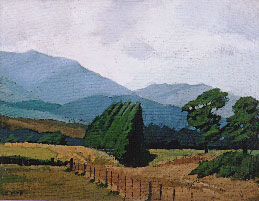 Canterbury Landscape