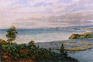 Seashore at the Mouth of the Mokau River