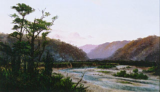 Waiohine River from Woodside