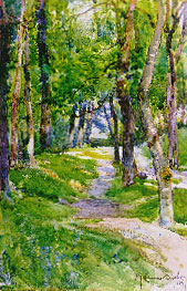 A French Forest Lane