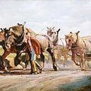 Shires Pulling Wagon