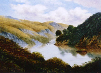 Steamer on Waikato River