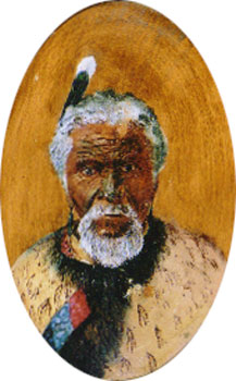 Ngaroki-te-uru, Chief of Ngatimahoe Tribe