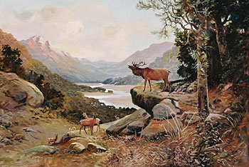 Stag in Landscape