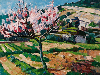 Blossom, Tourette Sur Loup 1950