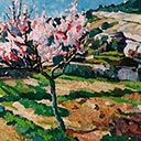 Blossom, Tourette Sur Loup 1950