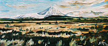 Mt. Ngauruhoe from Desert Road