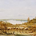 Rangitoto and Auckland Harbour from Grafton Gully  Circa 1870