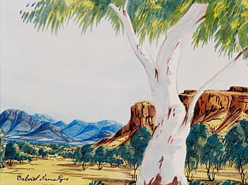 Central Australian Landscape