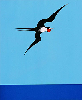 Frigat Bird