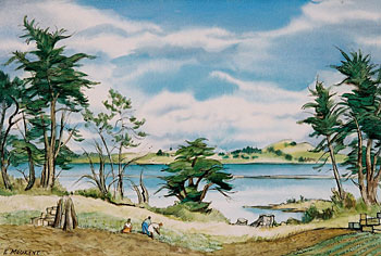 Landscape by the Manukau