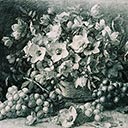 Study of Fruit and Flowers