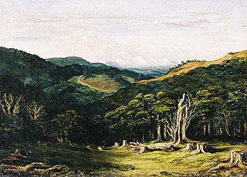 View Towards the Rimutakas, Wellington