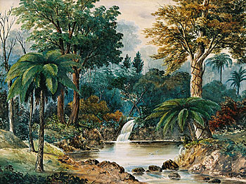 Forest Scene, Nelson