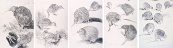 A Collection of Five Kiwi Studies