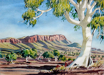 Australian Outback Scene