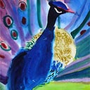The Peacock