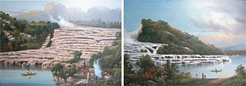 The Pink & White Terraces ( A Pair )
