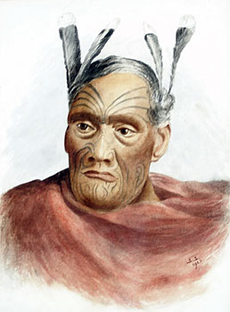 Maori Chief