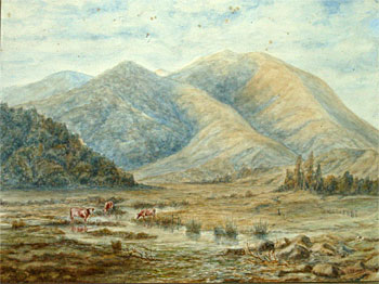 Wairarapa Landscape with Cattle