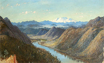 King Country Landscape