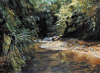 Waiomu River