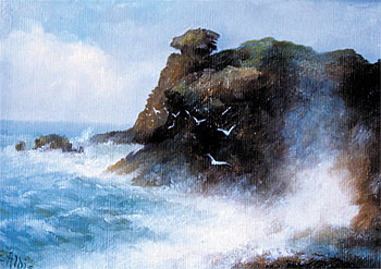 The Turia Rock, Blowhole Bay, West Coast