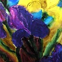 Irises in Full Bloom