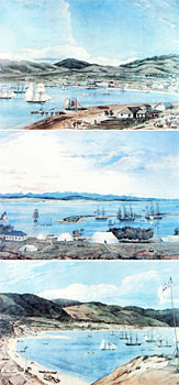 Two Views of Wellington & One View of Nelson - 1841