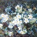 White Flowers (Primroses)