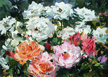 Roses, Home Garden - Speardale