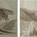 Top House, Wairau, Nelson and Fern Studies