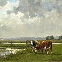 Cows Grazing by a River