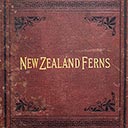 Album of New Zealand Ferns